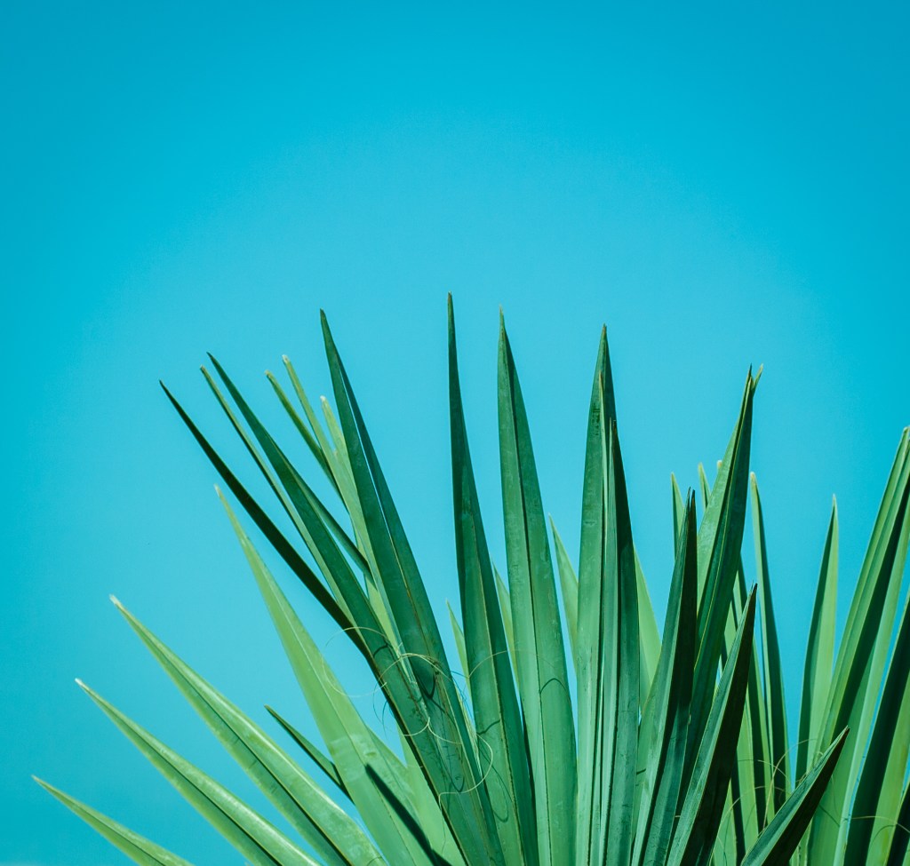 5 Steps for balancing inspiration and comparison as a&nbsp;photographer