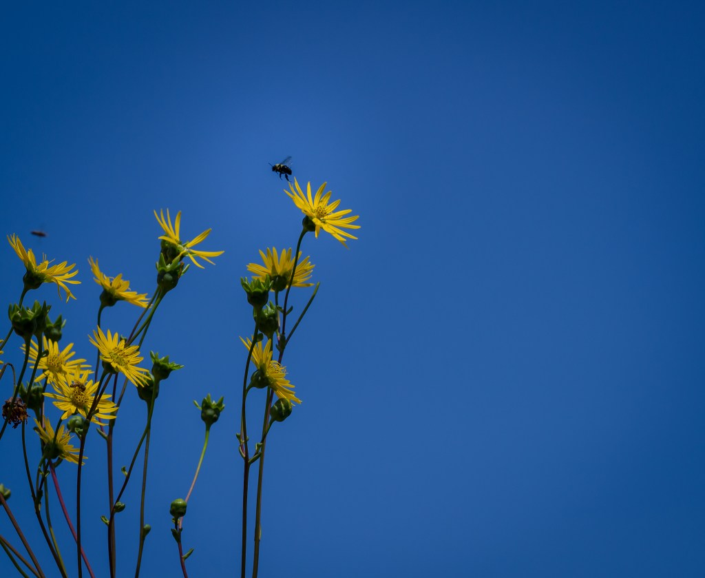 How “community over competition” created my&nbsp;brand