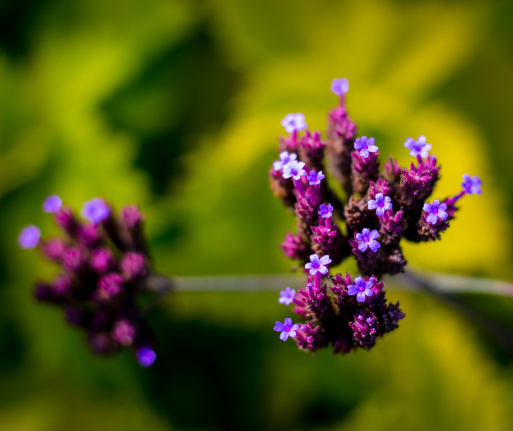 A personality quiz based on actual&nbsp;theory