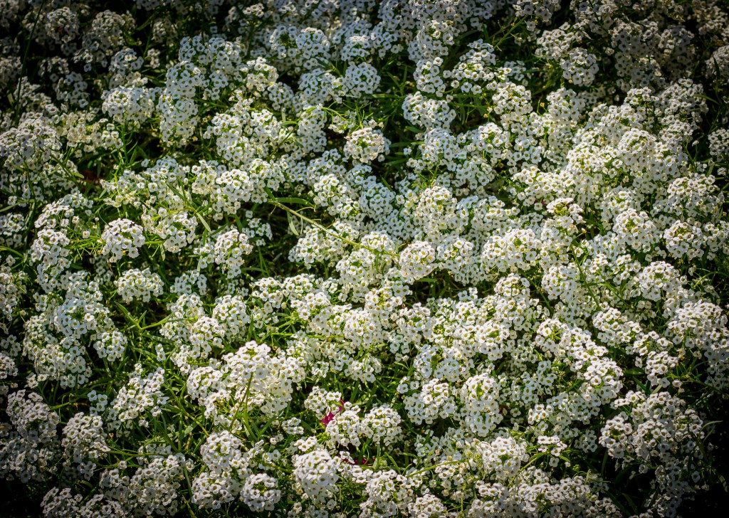 Why you need to join a Facebook Group (and why you might need to quit the ones you’re&nbsp;in)