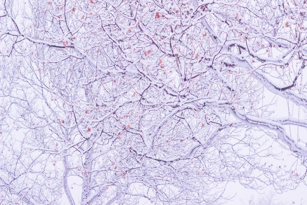 5 tips for an amazing photography&nbsp;portfolio