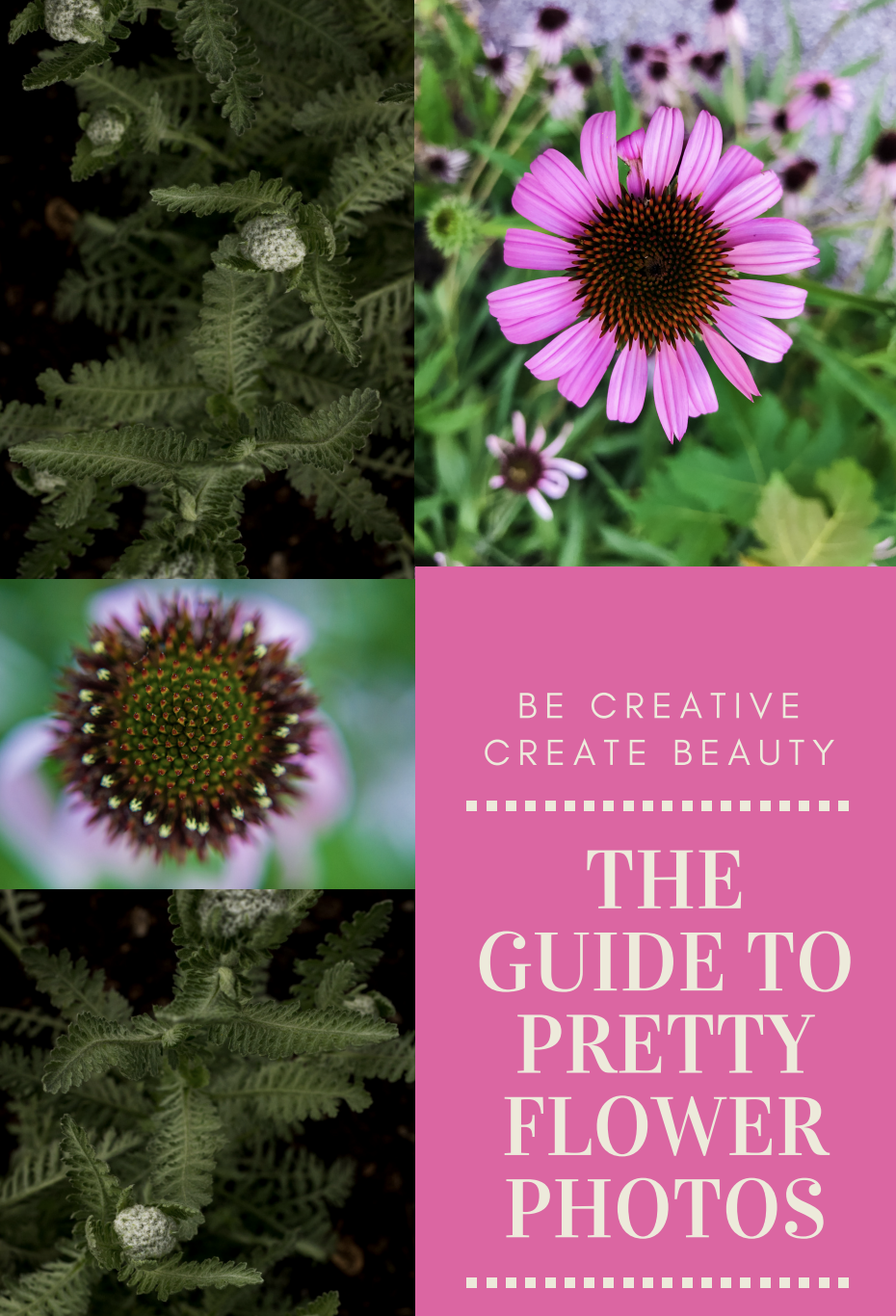 Screen Shot 2019-03-11 at 10.27.54 PM