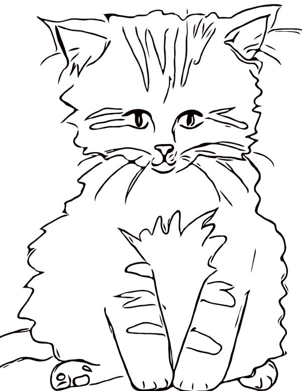 Untitled design (15)